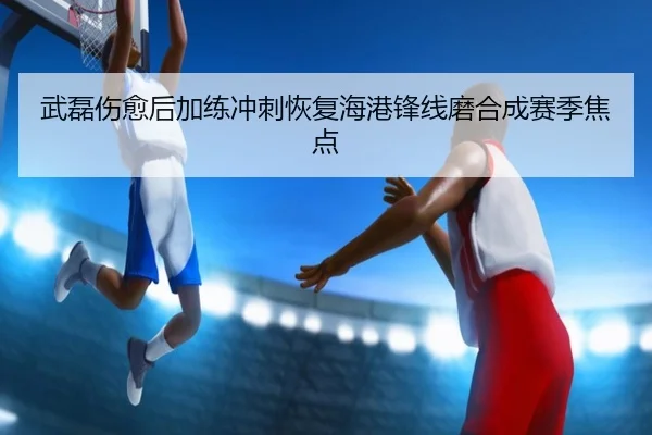 武磊伤愈后加练冲刺恢复海港锋线磨合成赛季焦点 - OUBAOSPORTS